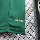 Palmeiras Home 14/15 Centenario Retro