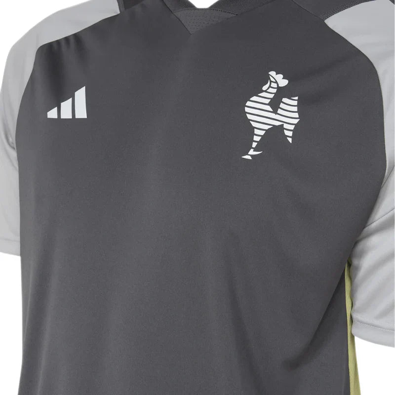 Atlético Mineiro Training Committee 2024