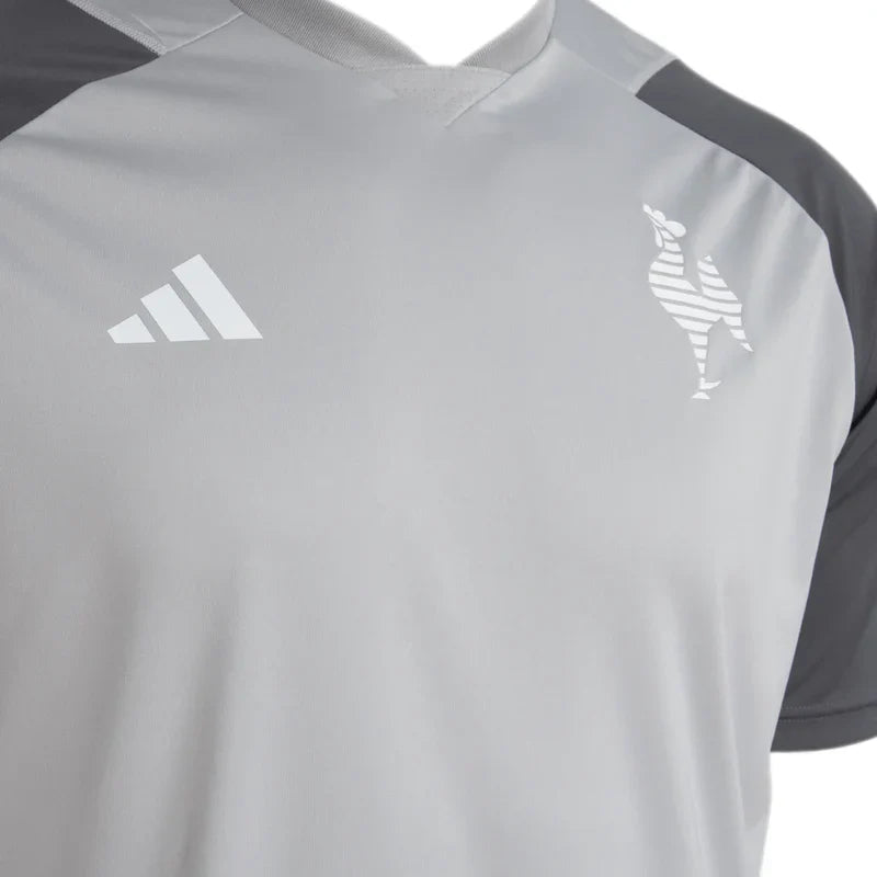 Athletico Mineiro Training