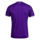 Anderlecht home 24/25